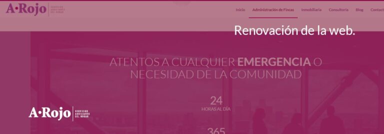 Imagen del artículo «Renovación de la web»