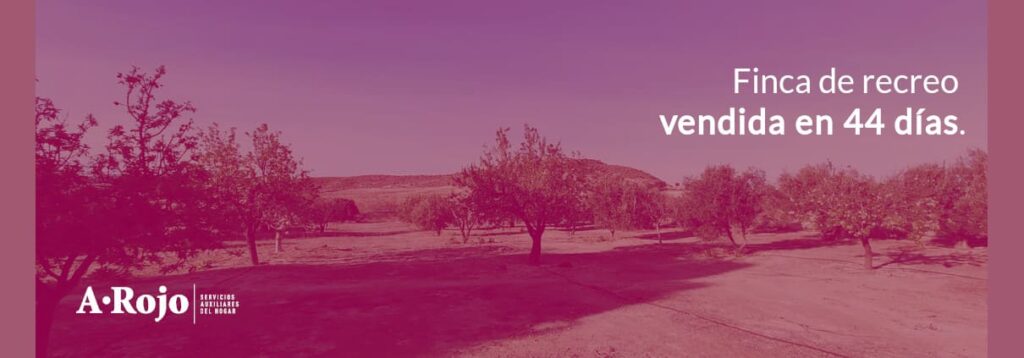 Imagen del artículo «Finca de recreo vendida en 44 días»