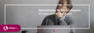Admistrador colegiado