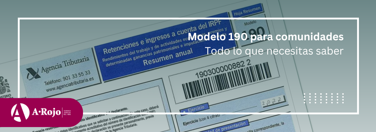 Modelo 190 web